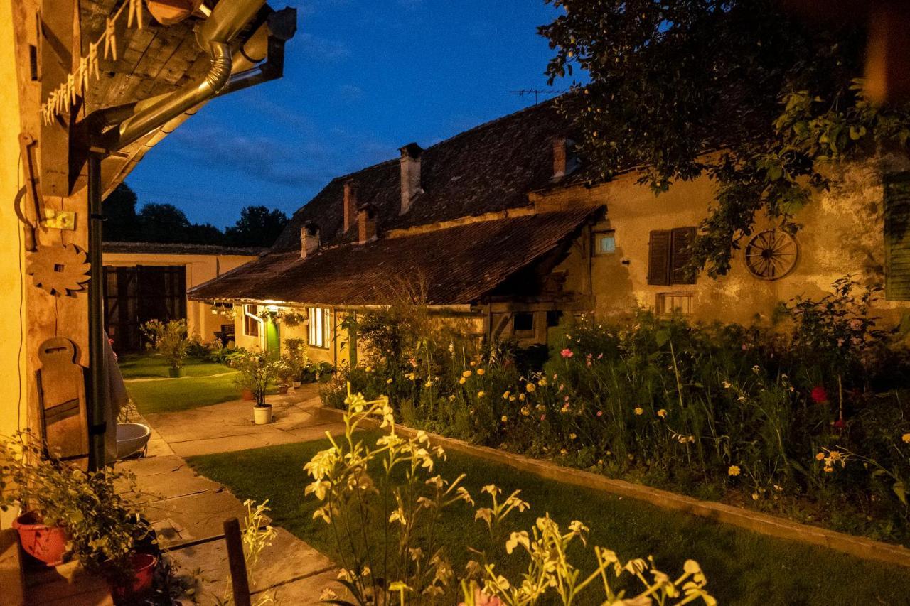 Villa Rihuini Eco Wine House Transylvania Richisu Exterior foto