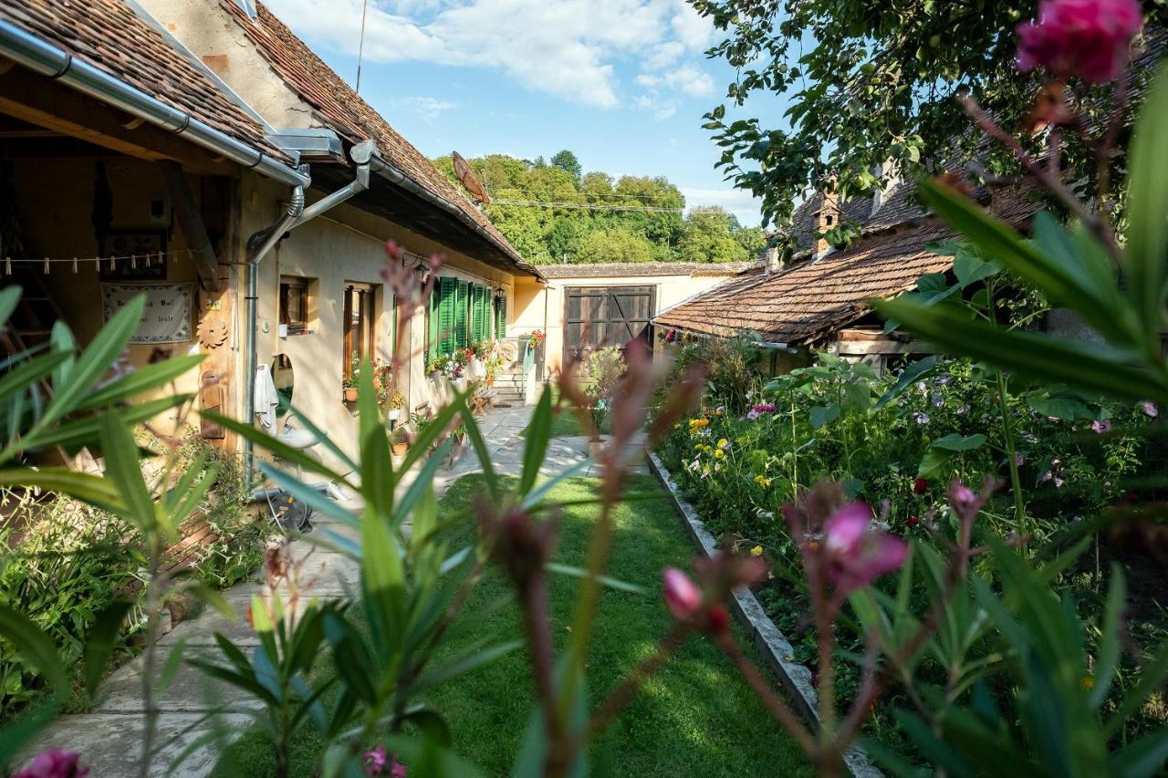 Villa Rihuini Eco Wine House Transylvania Richisu Exterior foto