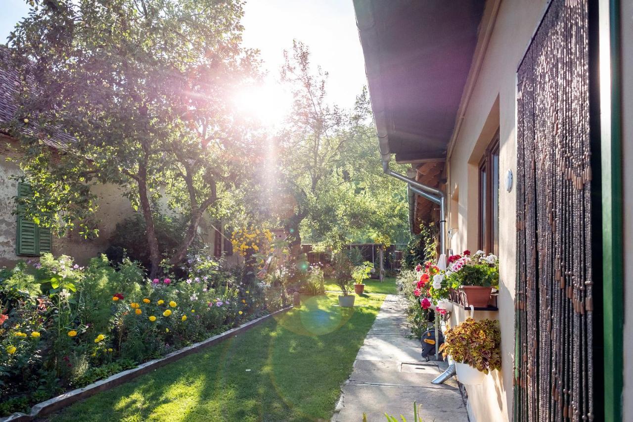 Villa Rihuini Eco Wine House Transylvania Richisu Exterior foto